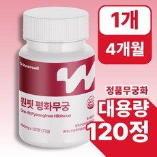 원핏 평화무궁 정품 식약청인증, 1개, 120정