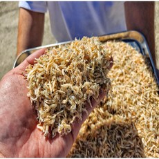 국내산 볶음용 신선한 밥새우 1.5kg