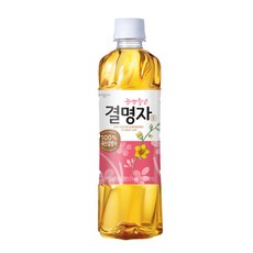 웅진 광명찾은 결명자차, 500ml, 48개