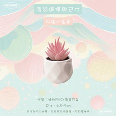 ABCHOME 仿真植物 多肉盆栽 桌面擺飾, 1個, 粉橘小蘆薈