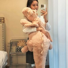 행운의 용띠 새해 용인형 금전운 청룡 봉제인형, 핑크 드래곤 (70cm)