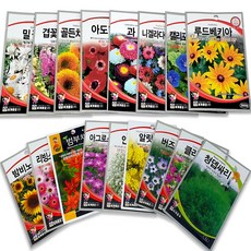 꽃 씨앗 허브씨 사계절 다년생 꽃씨 야생화 종자 씨앗 200여종, 2개