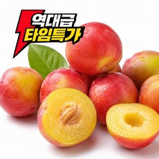 [타임특가] 대석자두 초고당도 꿀자두 후무사 추희 김천자두, 1박스, 새콤달콤_중과 1kg
