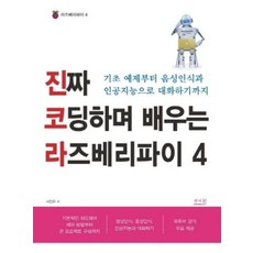 진짜 코딩하며 배우는 라즈베리파이 4, 앤써북