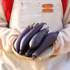 농산물마루 국내산 가지, 1박스, 5개 (600g 내외)