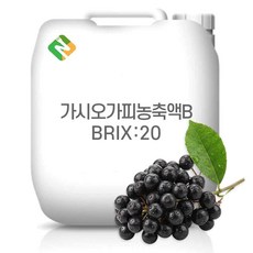 가시오가피농축액 65Brix 200g 샘플, 1개