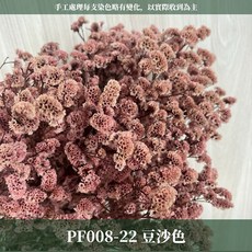 CANLONGER FLOWER 水晶花 居家裝飾, 22豆沙,原裝(超取會修剪適合裝箱尺寸), 1個