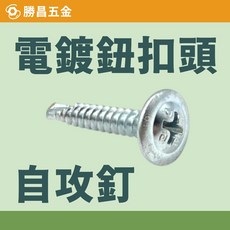 勝昌五金 電鍍 鈕扣頭 自攻釘 傘頭 香菇頭 盤頭 大扁頭 100支/包, 1個, 1/2" 四分 (12mm)  100支