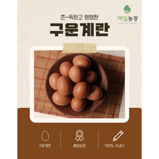 매일계란 친환경 무항생제 구운란 구운계란 특란 30구, 2개, 15구