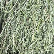 小型寵物牧草 高纖維兔子天竺鼠主食 助消化 1kg, 1個