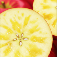 [유통마진제로] 꿀가성비 초고당도Brix 가정용 부사사과, 1개, 1kg