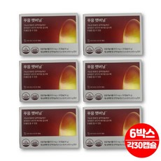 푸웅 푸응 푸잉 펫 팻 버닝 CLA 공액 리놀레산 리놀렌산 홍화씨 홍아씨 기름 오일 유 홍화유 30대 40대 50대 60대 중년 남성 여성 과체중 다이어트, 30정, 6개