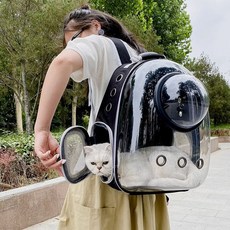 반려동물 우주캡슐 이동가방 백팩 lov+838Wq, 블랙