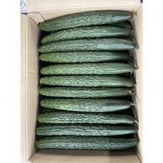 국내산 신선한 가시오이(특품) 3kg 5kg 10kg, 1개, 가시오이 10개입