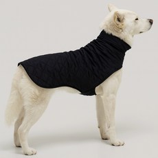 오렌지원 8가지 사이즈 강아지 입히기 쉬운 기모 벨크로 패딩, 블랙