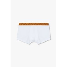 엠포리오 아르마니 EMPORIO ARMANI UNDERWEAR 남성 골든 로고 밴딩 코튼 드로즈_화이트 0815112318 2501592520 434607
