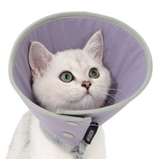 HiDREAM 반려동물 넥카라 깔때기 방수 목보호대 중성화 강아지 고양이 하이드림, 퍼플, 1개