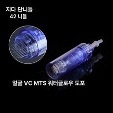 MTS홈케어 고주파 바늘 니들 오토 MTS 닥터펜, 지다 단축 42개, 기본 모델명/품번
