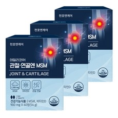 데일리코어 천호엔케어 관절연골앤 MSM 54g, 60정, 3개