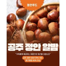 공주 정안 20년 1등 초고당도 알밤 햇밤, 2kg, 1박스