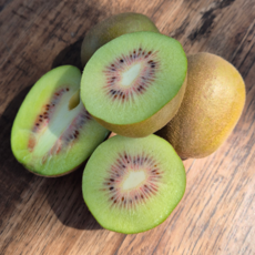 두두네 22brix 초 고당도 새콤달콤 제주 레드키위, 1개, 대과 2.5KG (70-90g내외)