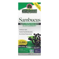 네이쳐스앤서 삼부커스 엘더베리 추출물 480ml, 1개