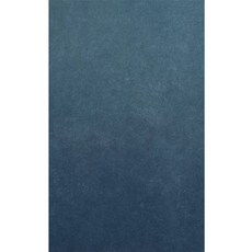 미국졸업사진 배경지 스쿨룩 A 하이틴 스튜디오 레트로, 1개, P. 포토 천 HP1425 얇음