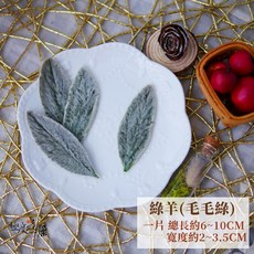 大地農園 永生羊耳石蠶 葉材, 【永生羊耳石蠶葉】綠羊(毛毛綠),一份不嫌少