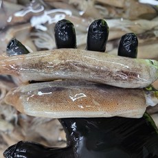 선주직송 국내산 그물 오징어 생물, 1박스, 1kg (13미 내외) 빙장포장