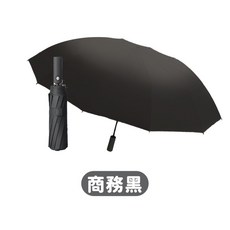 24骨自動傘 晴雨兩用傘 抗UV 抗風