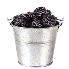 [억수로상회] 고창 산지직송 블랙베리 (급냉/특품) 슈퍼복분자 소포장, 1개, 1kg