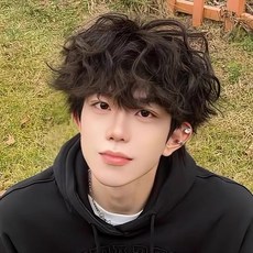 샤일리 남성 히피펌 통가발 전체가발 아이돌 헤어스타일, 브라운, 1개