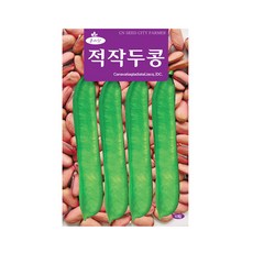 (CN) 적작두콩 씨앗 (10립), 1개