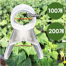 글로리존 고추 집게 오이 호박 원예용 고정 작물 클립, 20mm, 200개