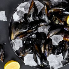 홍합 1kg, 단품, 단품
