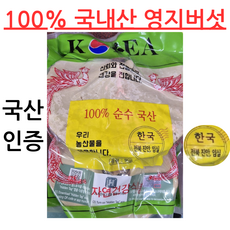 순수 국내산 100% 정품인증 가나농산 영지버섯, 1개, 1kg