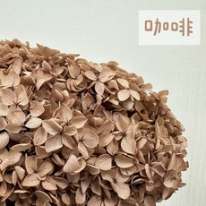 花藝夢*進口 帶梗安娜繡球花 永生繡球花 *整枝販售* 木繡球花 乾燥花 永生花 永生花 不凋花 配花 主花, 咖啡