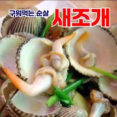 탱글탱글 구워먹는 새조개 순살 급냉자숙, 1개, 140g
