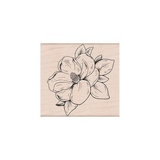 Hero Arts Woodblock Stamps Flowering Nasturtium, 3 inches by 3 inches, Clear