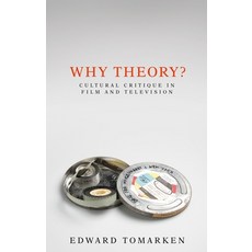 Why Theory?: Cultural Critique in Film and Television Paperback, Manchester University Press
