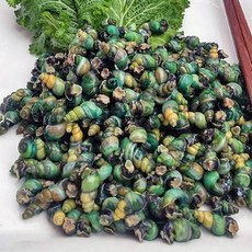 산지청정 1급수 강원도 자연산 깐올갱이 200g/400g 다슬기 깐다슬기 고디, 1개, 200g