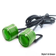 오토바이 방향 2개 스트로브 모토 눈 드라이빙 액세서리 안개등 독수리 헤드라이트 LED 12V 슈퍼 브라이트 주행등 지시등 라이트, Flashing Green