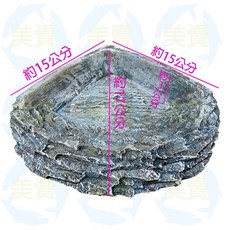 美賣 爬蟲三角角落食盤水盤 扇形設計 陸龜守宮蜥蜴適用 岩石紋理 兩棲角蛙泡澡盆, 1個