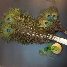 진짜 자연 공작 꼬리 100pcs 25-32cm 10-12inch 깃털 눈 DIY 바느질 결혼식 축제 파티, 01 100pcs, 02 Small eye 2.5-4cm