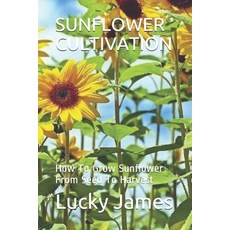(영문도서) Sunflower Cultivation: How To Grow Sunflower From Seed To Harvest Paperback, Independently Published, English, 9781070252919