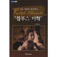 블루스 미학, 한국학술정보