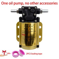 휴대용 12V 24V 전기 라인 가솔린 전원 고전력 튜브 4m 펌프 2m 범용 자체 디젤, One oil mp