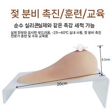 실리콘 유방모형 모유 모양 트럼펫 실습용 교구 연습 유방 모유수유 교육용, 2. 라지