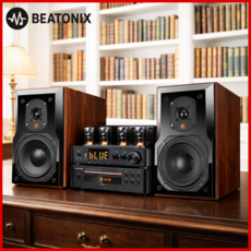 비토닉스 진공관 앰프 고급형 하이파이 오디오 스피커 증폭기, TH-108D+80S