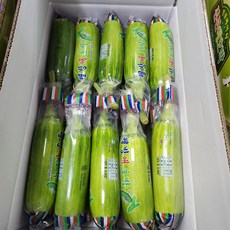 [국내산]싱싱한 인큐 애호박(특) 2개 3개 10개